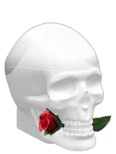 Ed Hardy Skulls & Roses For Her Christian Audigier