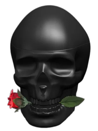 Ed Hardy Skulls & Roses For Him Christian Audigier by Christian Audigier