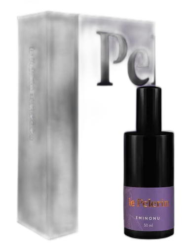 Eminonu Le Pelerin by le Pelerin