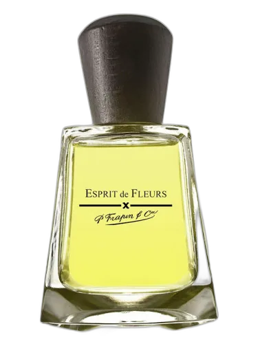 Esprit De Fleurs Frapin by Frapin