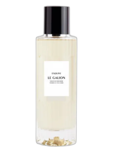 Esquive (2020) Le Galion by Le Galion