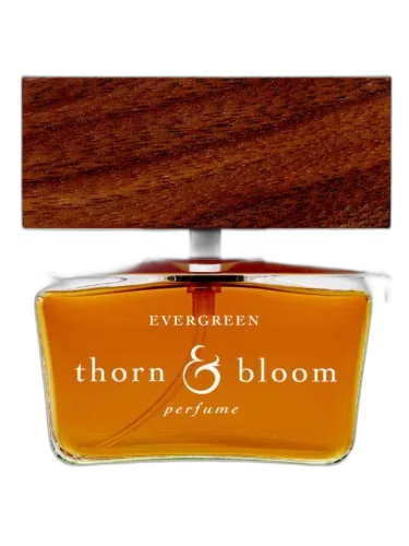 Evergreen Thorn & Bloom by Thorn & Bloom