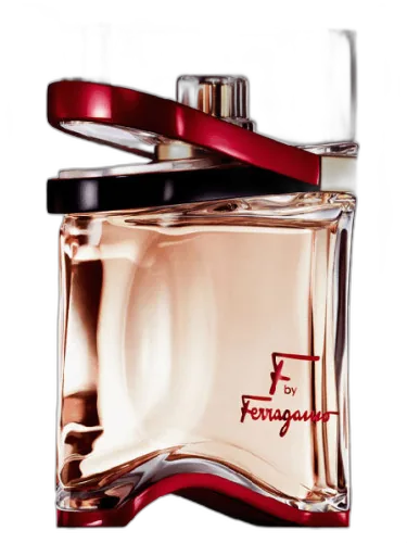 F By Ferragamo Salvatore Ferragamo by Salvatore Ferragamo