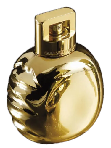 Fabulous Mandawa Salvador Dali by Salvador Dali