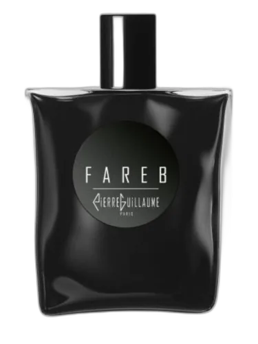 Fareb Pierre Guillaume Paris by Pierre Guillaume Paris