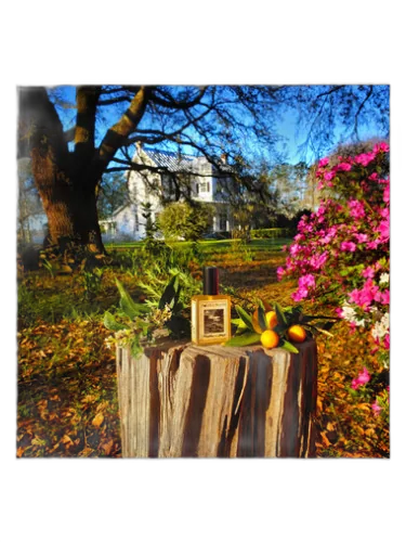 Farmhouse In Spring Solstice Scents