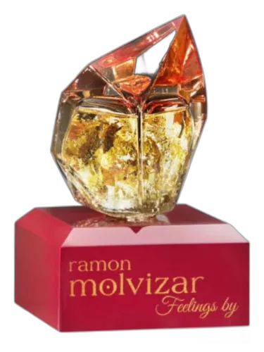 Feelings Ramon Molvizar