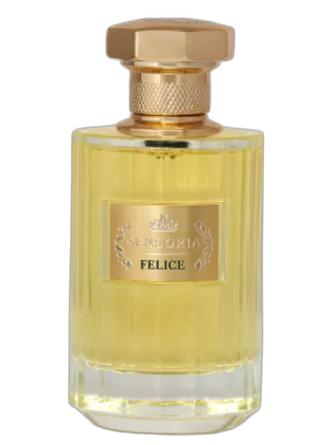 Felice Sensoria by Sensoria