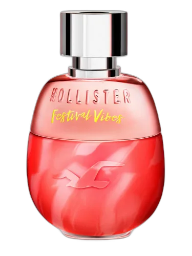 Festival Vibes For Her Hollister