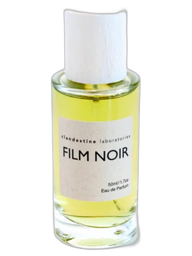Film Noir Clandestine Laboratories