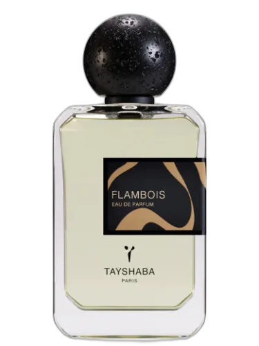 Flambois Tayshaba by Tayshaba