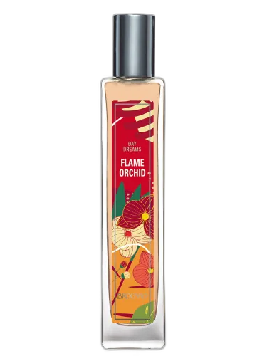 Flame Orchid Brocard