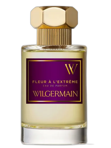 Fleur À L'extrême Wilgermain