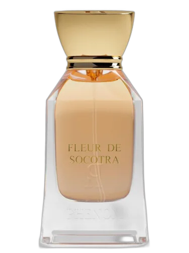 Fleur De Socotra Phenom by Phenom