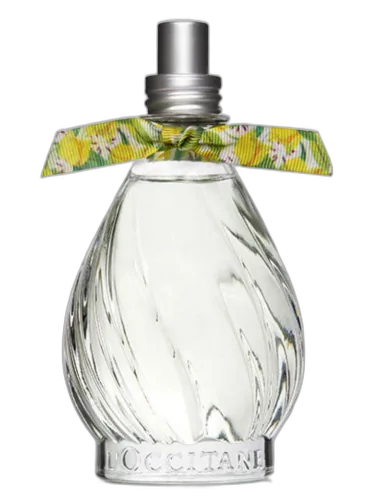 Flor De Graviola L’occitane Au Brésil by L’Occitane Au Brésil
