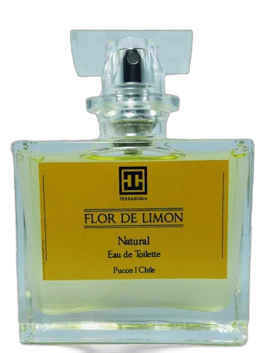 Flor De Limon Terragonia by Terragonia