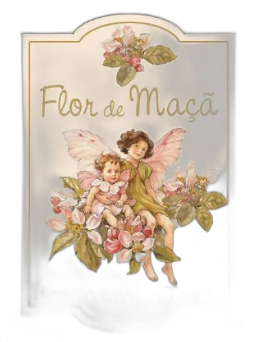 Flor De Maca Companhia Da Terra by Companhia da Terra