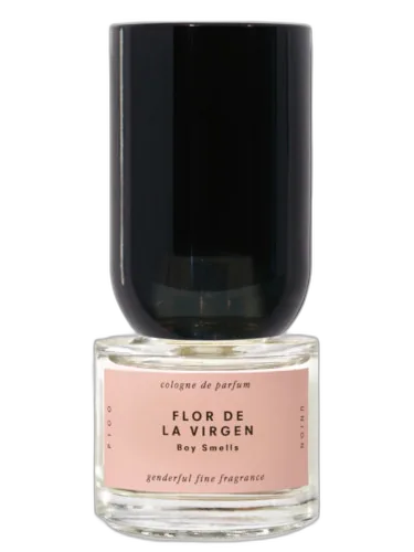 Flor De La Virgen Boy Smells