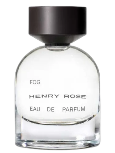 Fog Henry Rose by Henry Rose