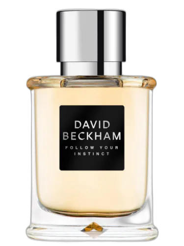 Instinct David Beckham by David Beckham
