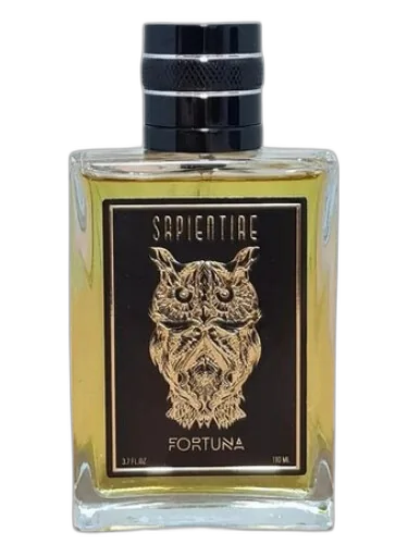 Fortuna Sapientiae Niche by Sapientiae Niche