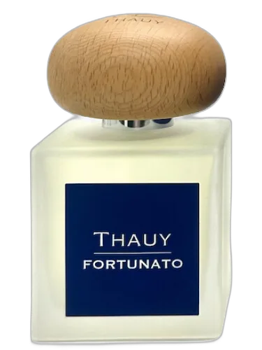 Fortunato Thauy by Thauy