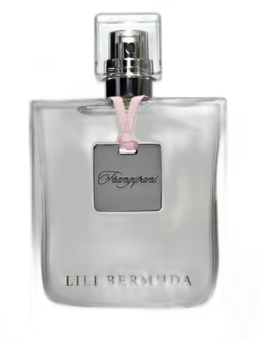 Frangipani Lili Bermuda by Lili Bermuda