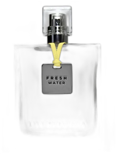 Fresh Water Lili Bermuda by Lili Bermuda