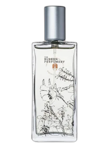 Frond Burren Perfumery