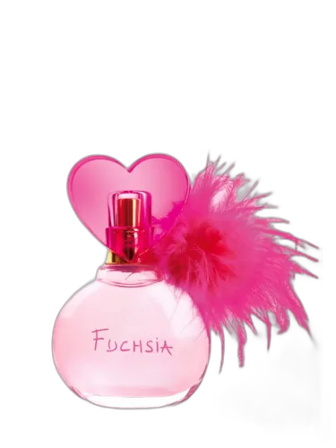 Fuchsia Alexandre Barthet by Alexandre Barthet