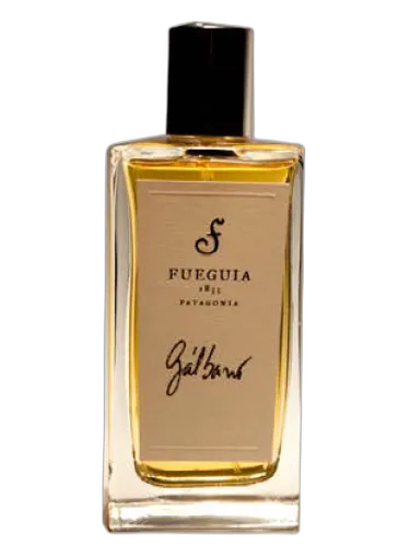 Gálbano Fueguia 1833 by Fueguia 1833