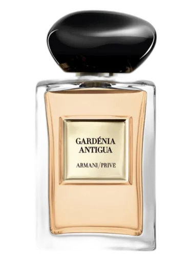 Gardénia Antigua Giorgio Armani