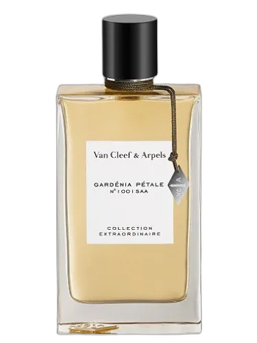 Gardenia Petale Van Cleef & Arpels by Van Cleef & Arpels