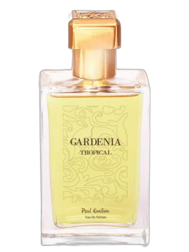 Gardenia Tropical Paul Emilien by Paul Emilien