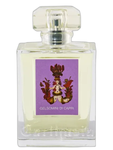 Gelsomini Di Capri 2017 Carthusia by Carthusia