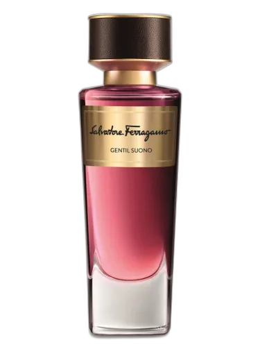 Gentil Suono Salvatore Ferragamo by Salvatore Ferragamo