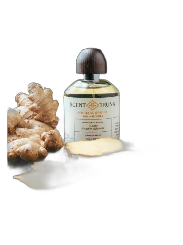 Ginger Scent Trunk by Scent Trunk
