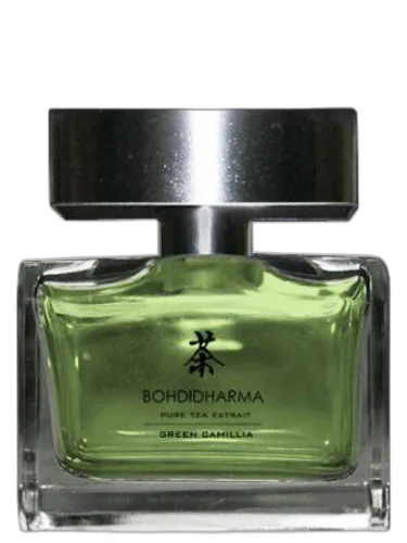 Green Camellia Bohdidharma