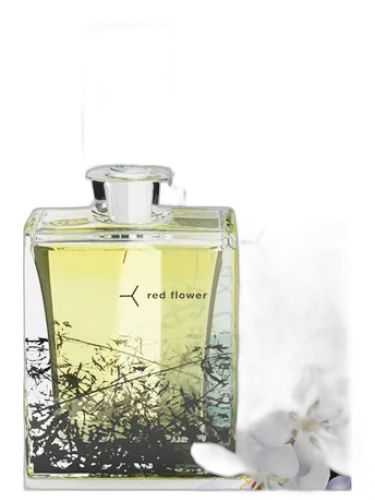 Guaiac Red Flower Organic Perfume