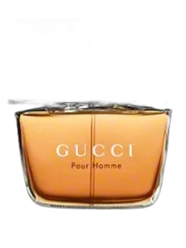 Gucci Pour Homme (2003) Gucci by Gucci