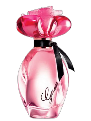 Guess Girl Guess by Guess
