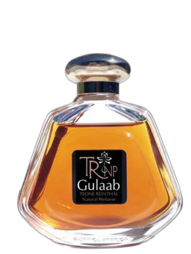 Gulaab Trnp by TRNP
