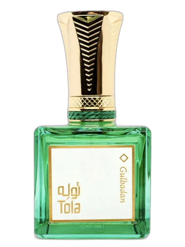 Gulbadan Tola by Tola