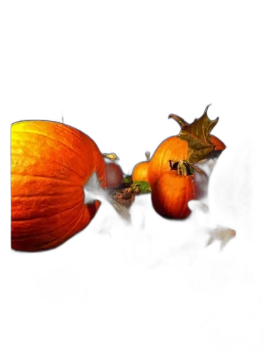Gunnerson's Pumpkin Patch Solstice Scents by Solstice Scents