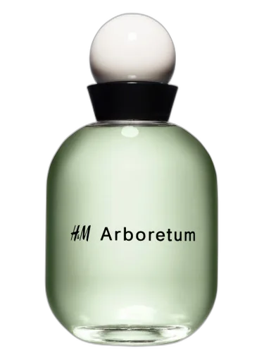 H&m Arboretum H&m by H&M