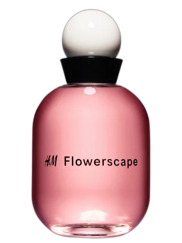 H&m Flowerscape H&m by H&M