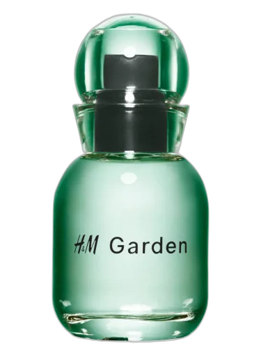 H&m Garden - Sunlit Dew H&m by H&M