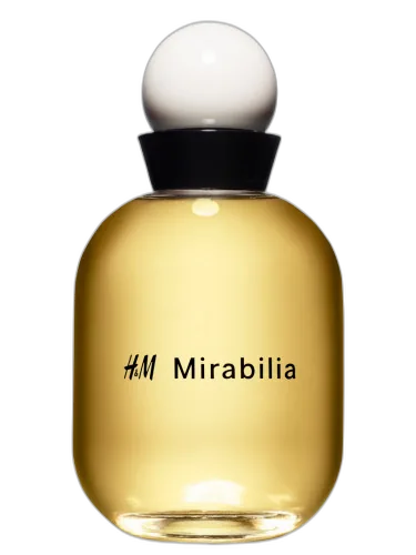 H&m Mirabilia H&m by H&M
