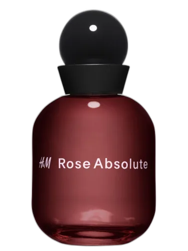H&m Rose Absolute H&m by H&M