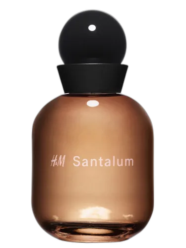 H&m Santalum H&m by H&M